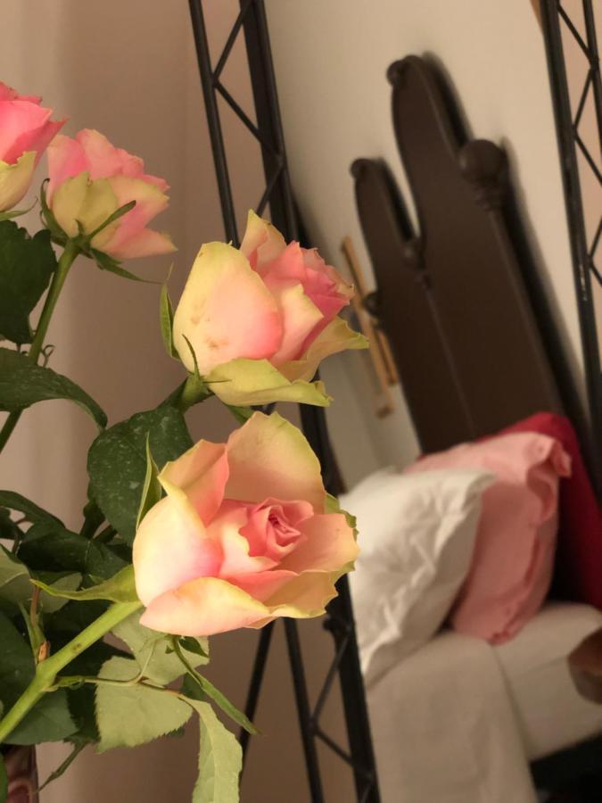 Ca 'D Langa B&B Treiso Eksteriør billede
